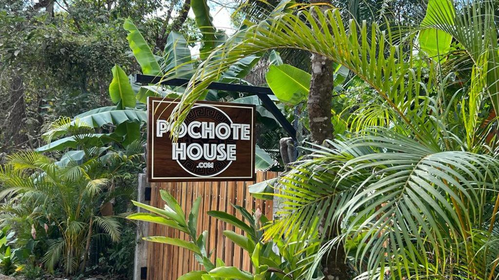 Pochote Jungle House