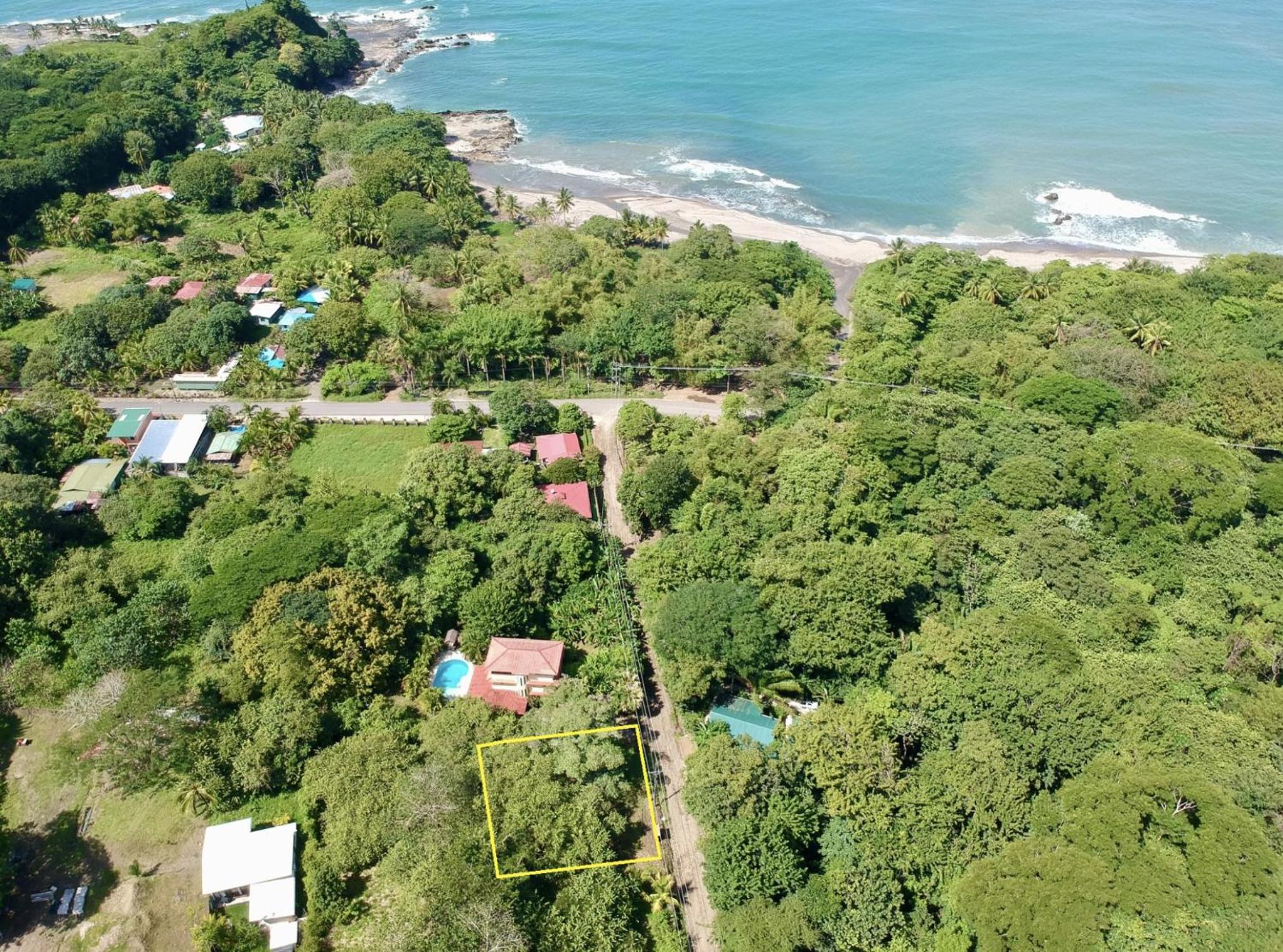 Pochote Jungle House