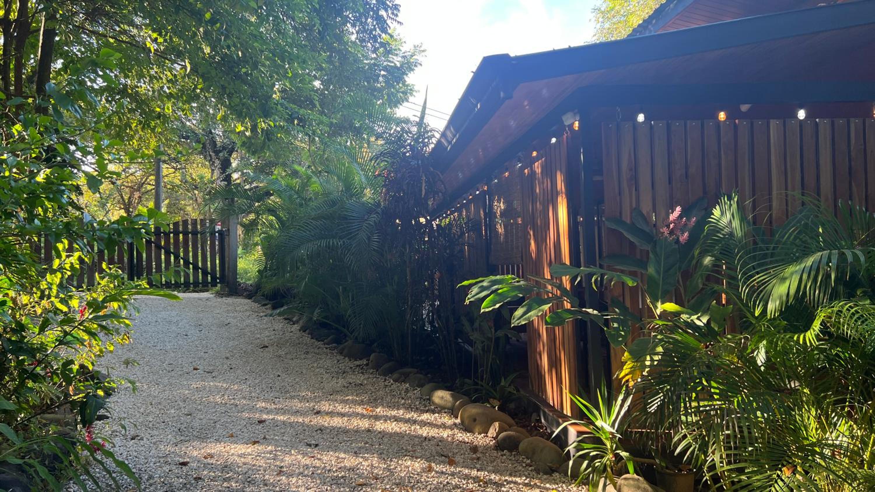 Pochote Jungle House