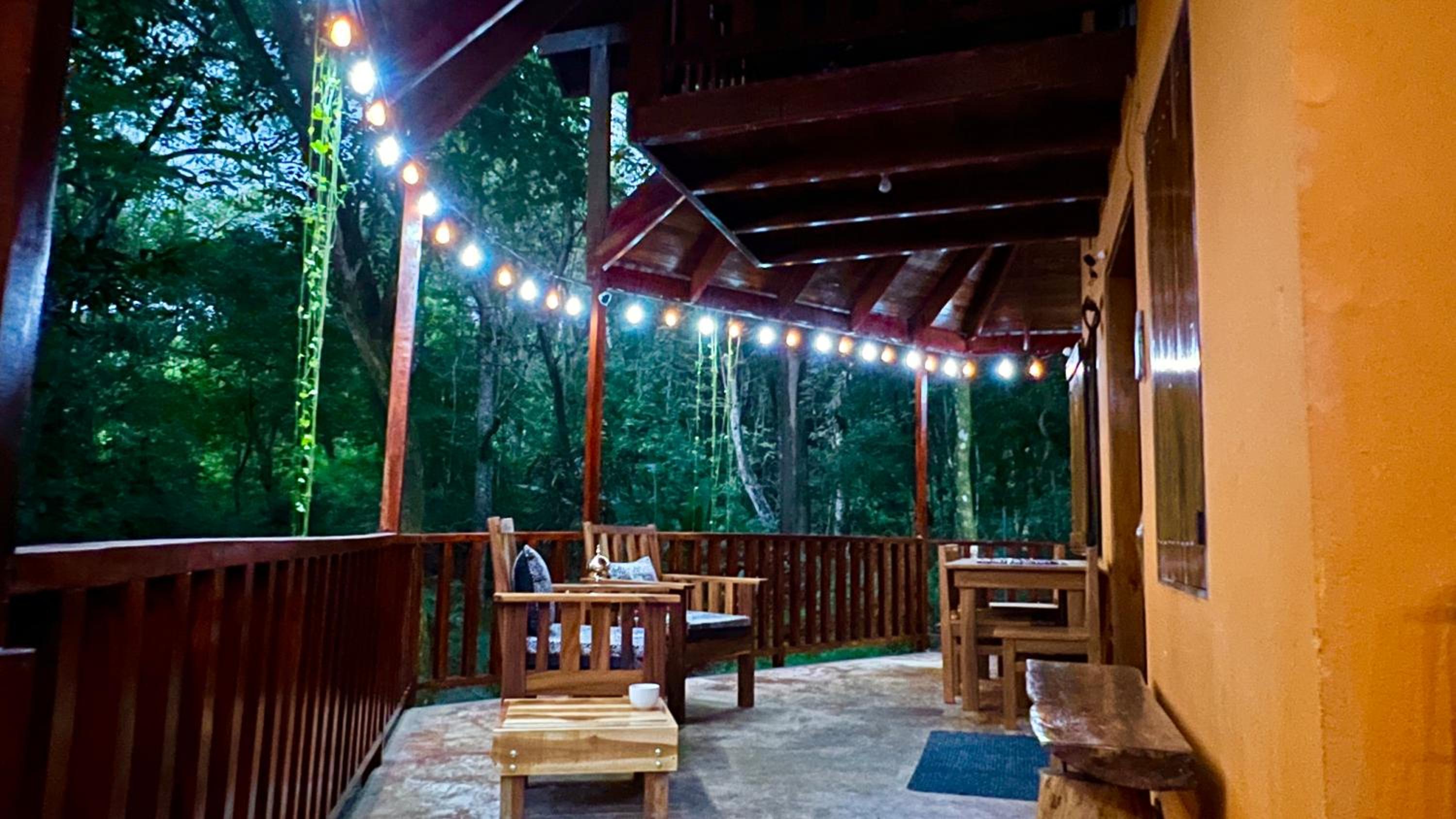 Pochote Jungle House