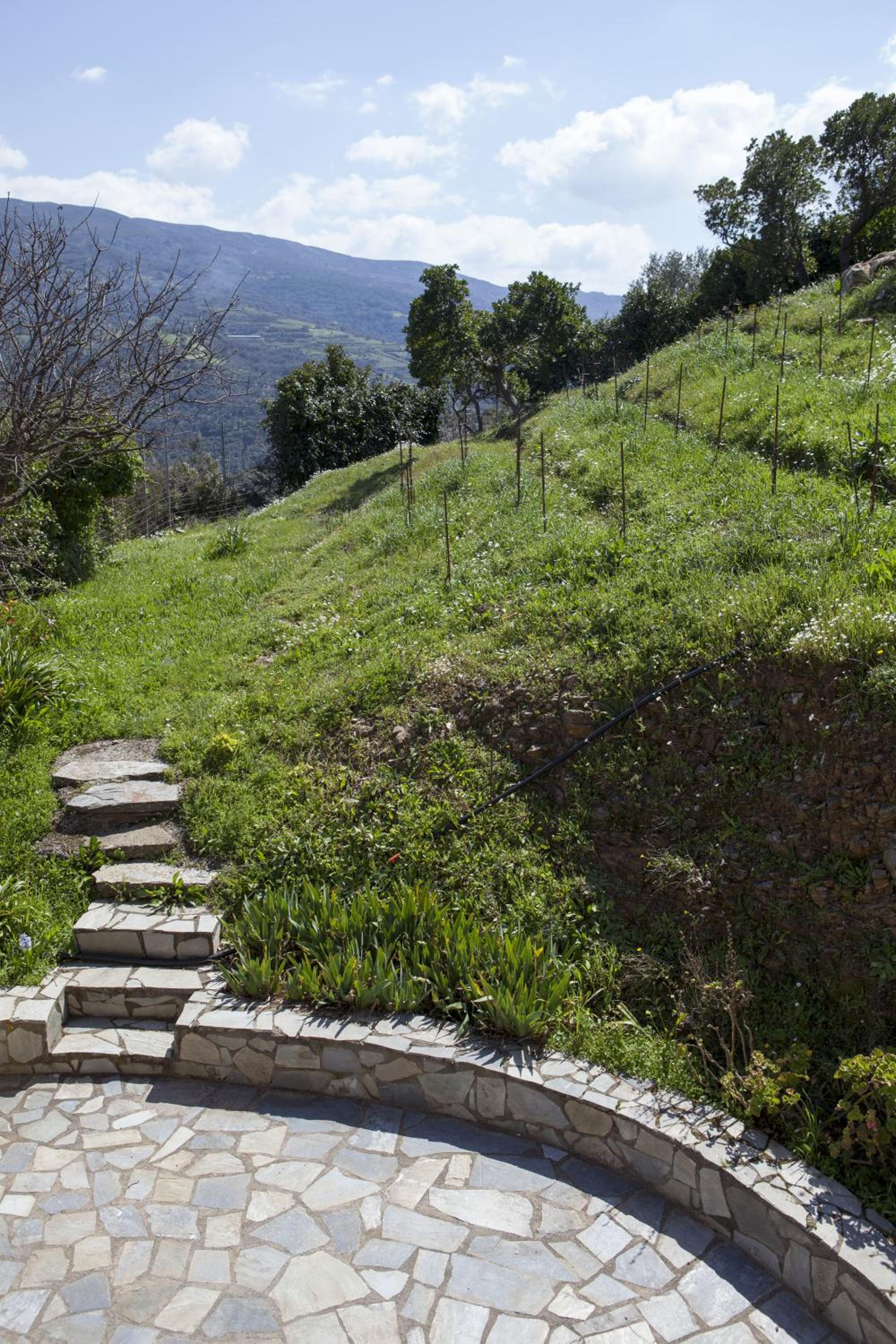 Aori Hillside Villa
