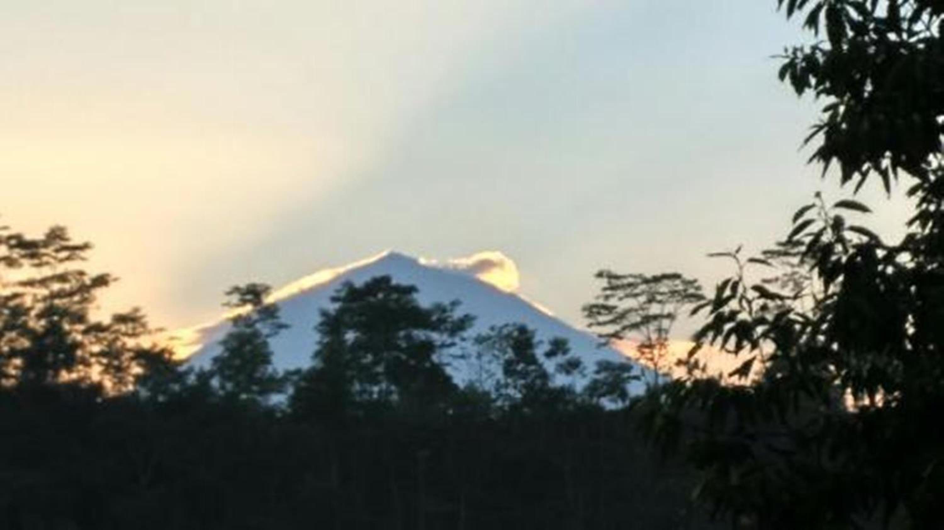 Sunia Jungle Ubud View by EPS