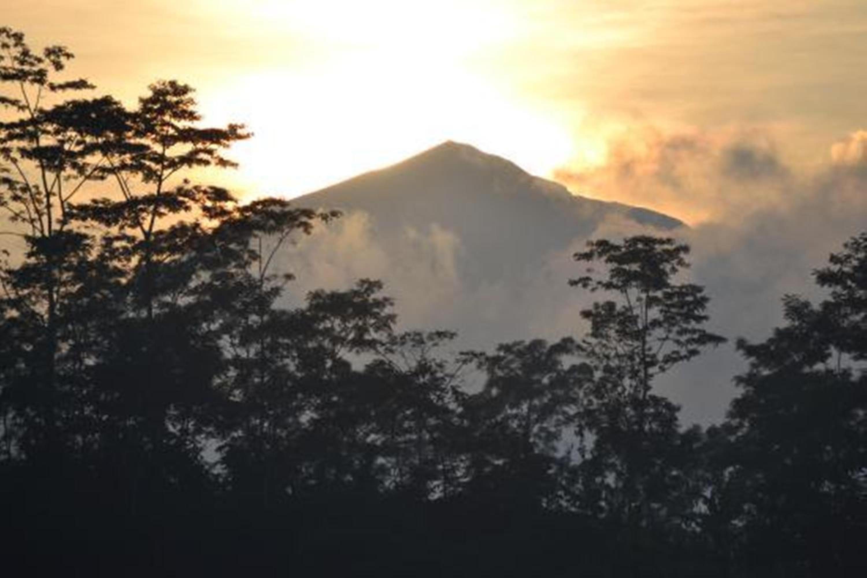 Sunia Jungle Ubud View by EPS