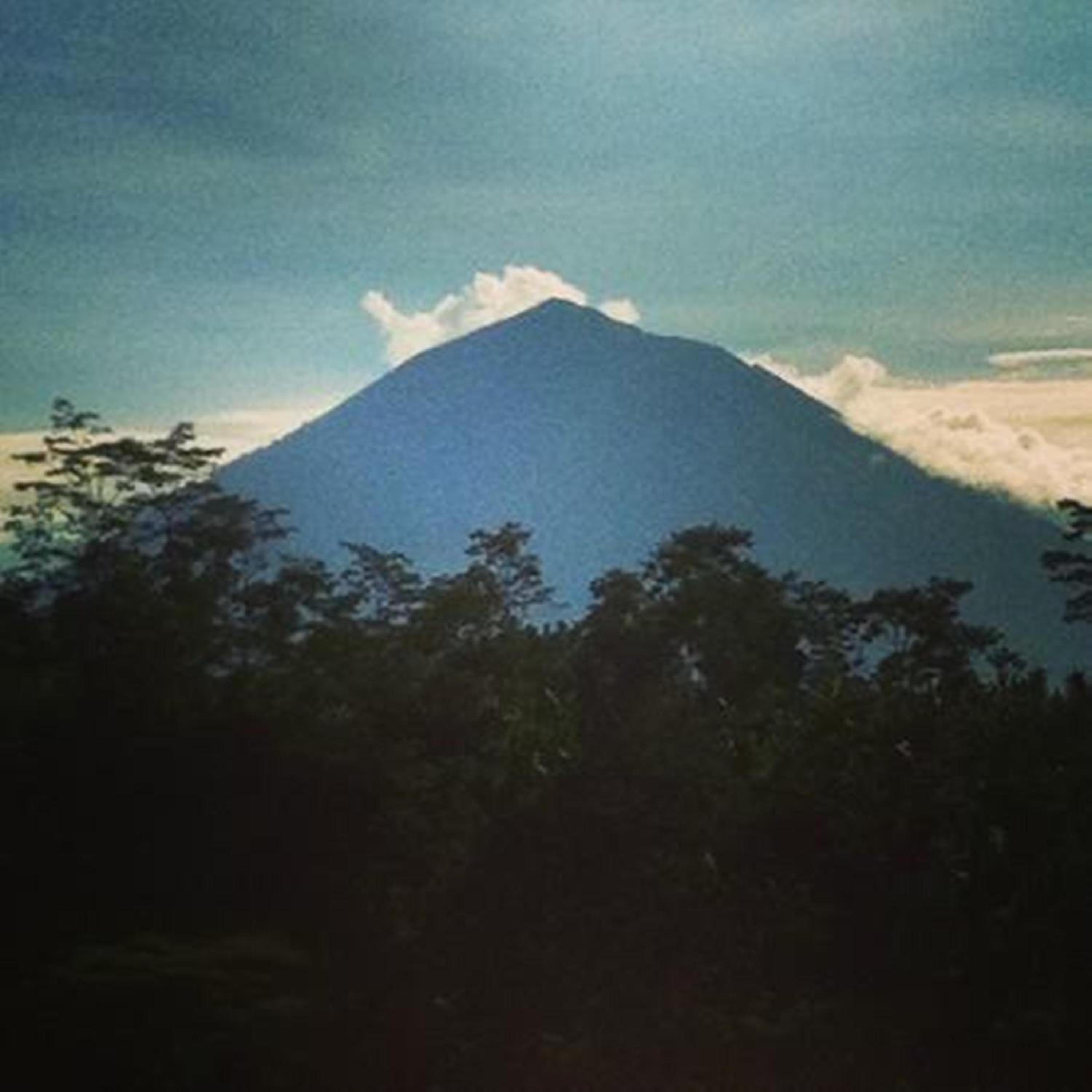 Sunia Jungle Ubud View by EPS