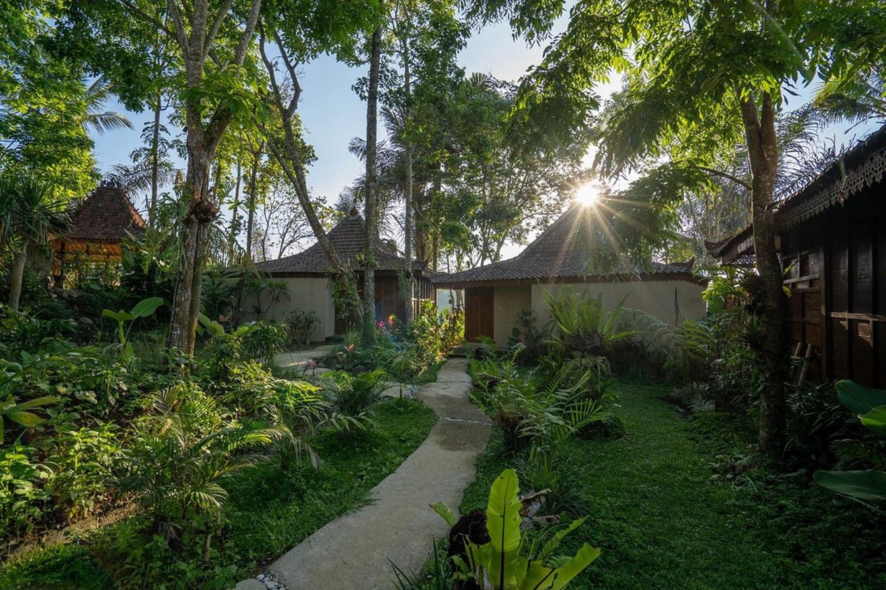 Sunia Jungle Ubud View by EPS