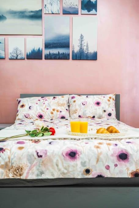 Beautiful flat with free parking