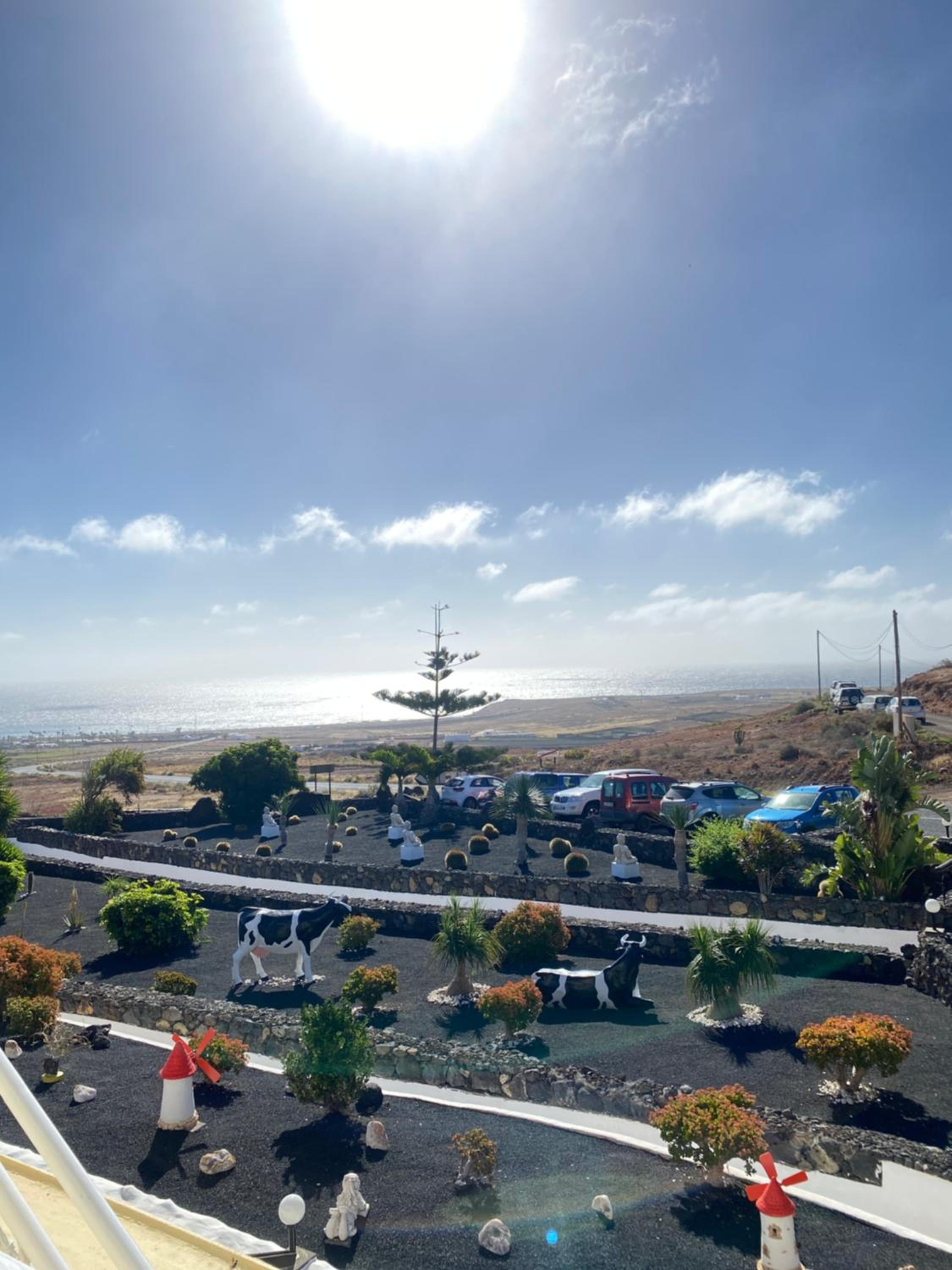 Club JM Lanzarote