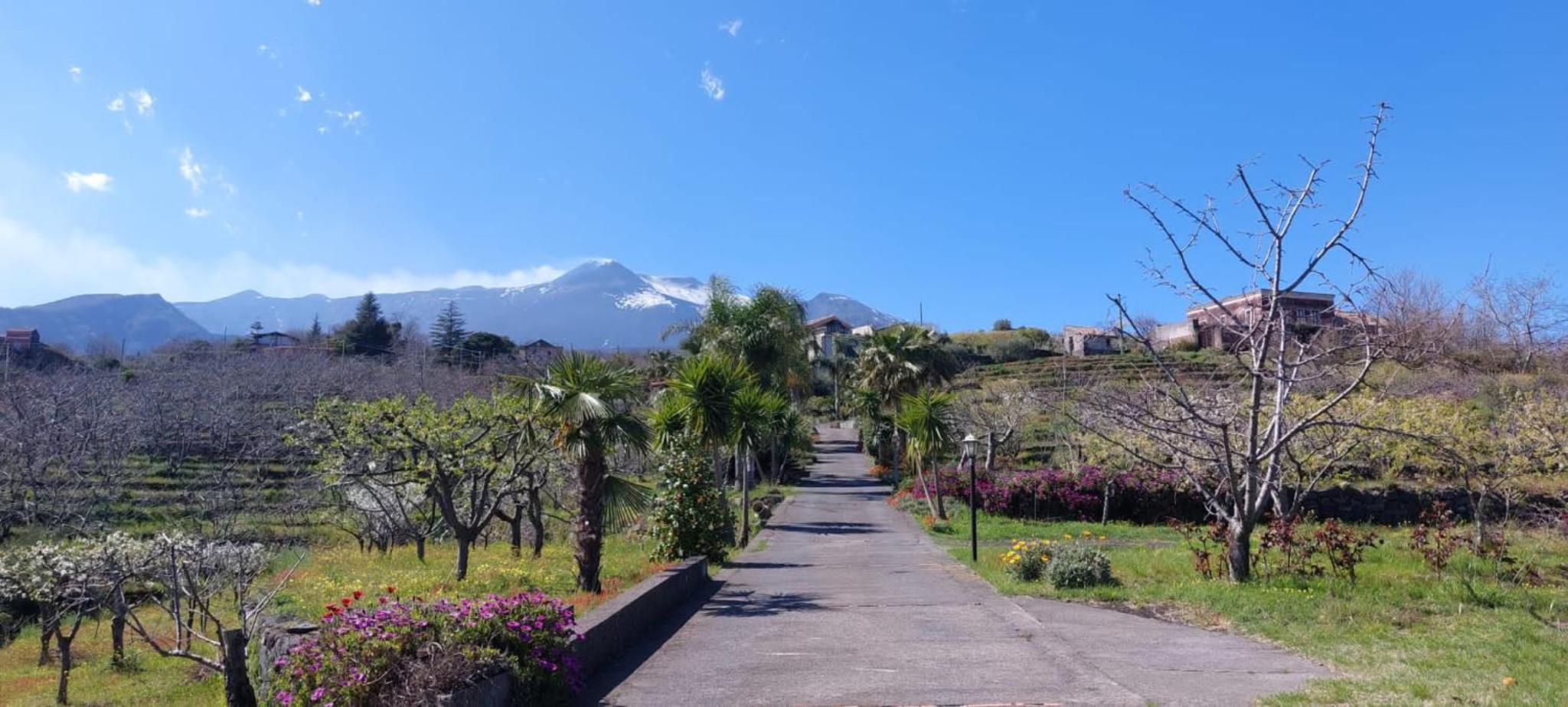 B&B Dimora dell' Etna
