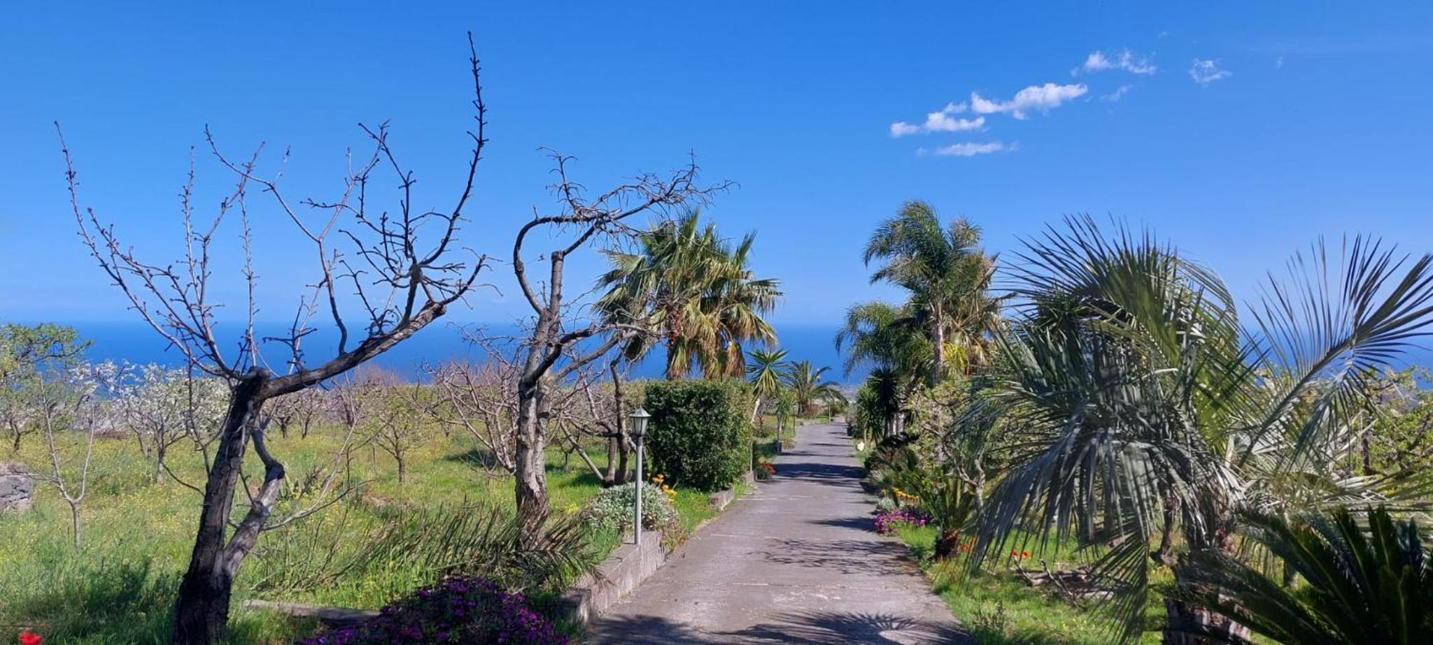 B&B Dimora dell' Etna