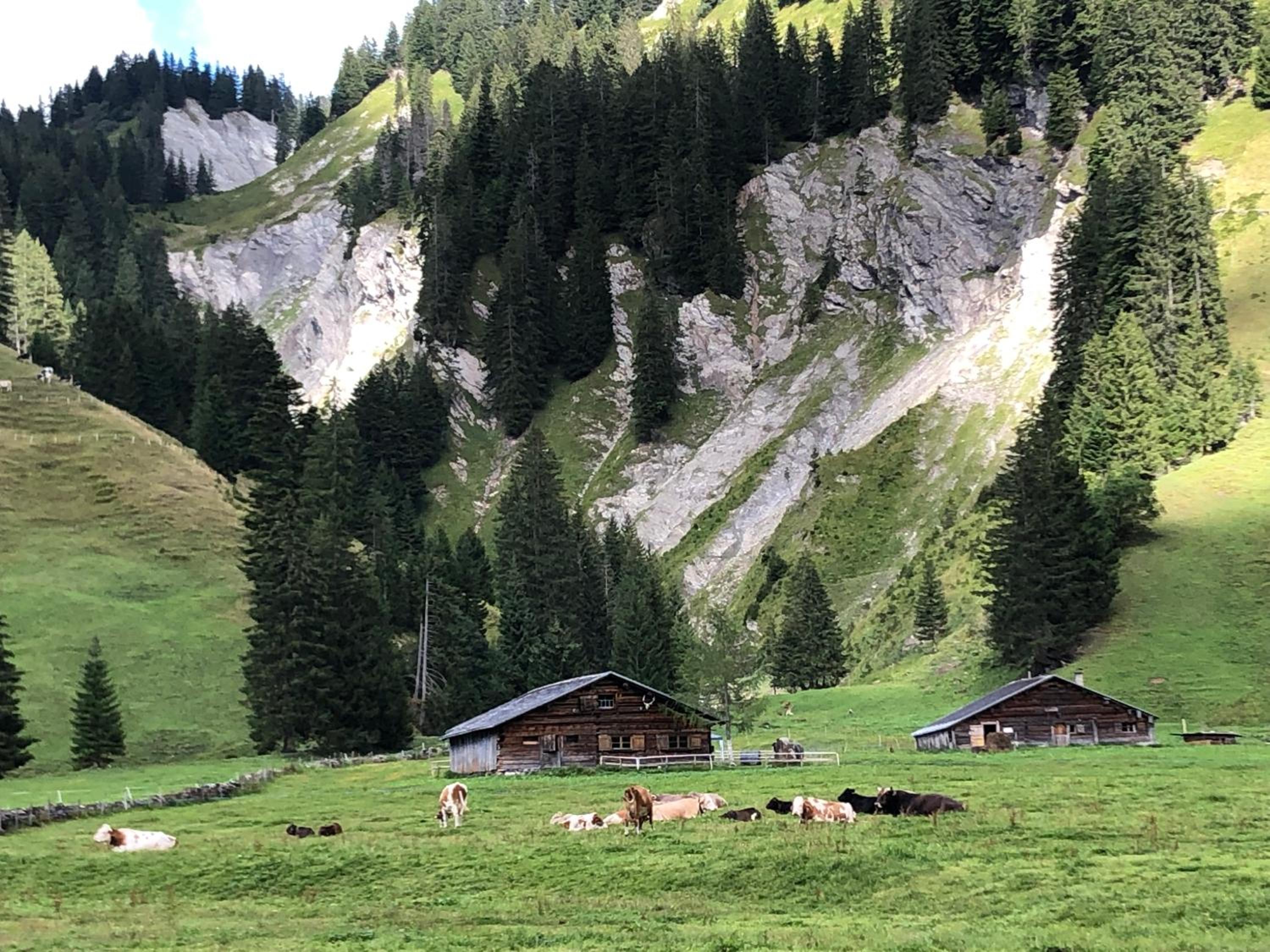 Walli Laterns - Ski und Bergvergnügen direkt vor der Haustür