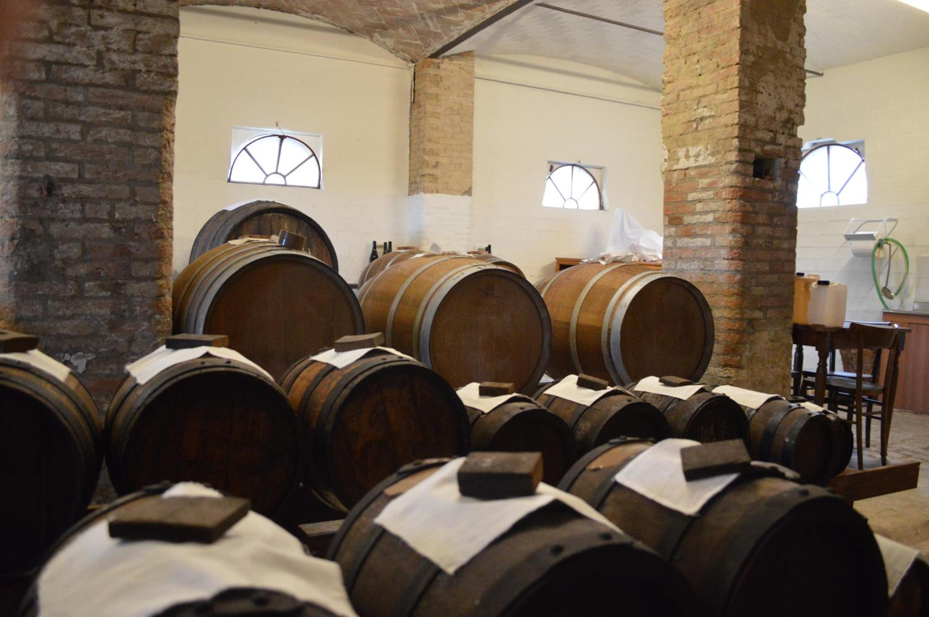 Agriturismo Cavazzone