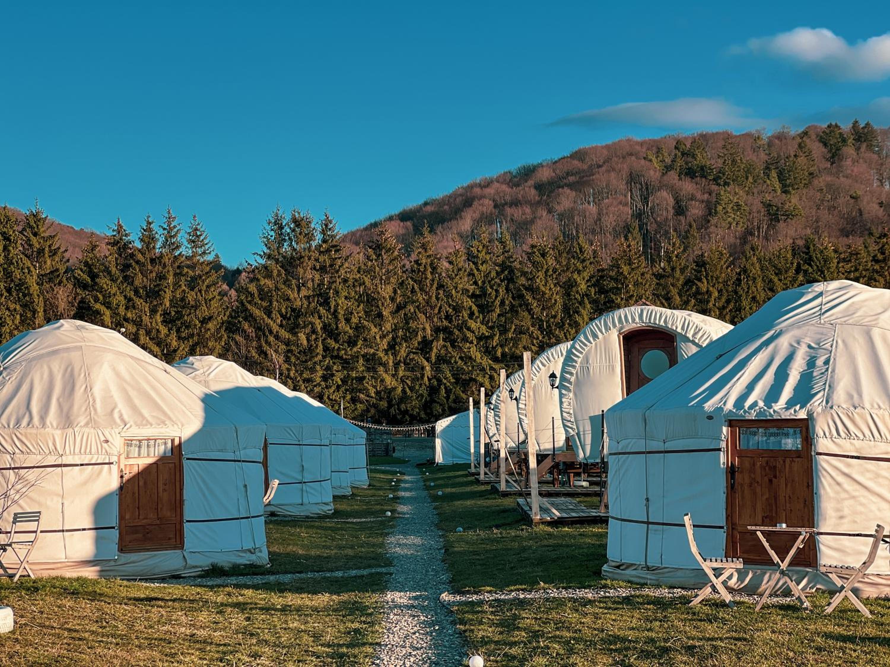 Glamping Iurte Mongole Spiritul Zimbrului