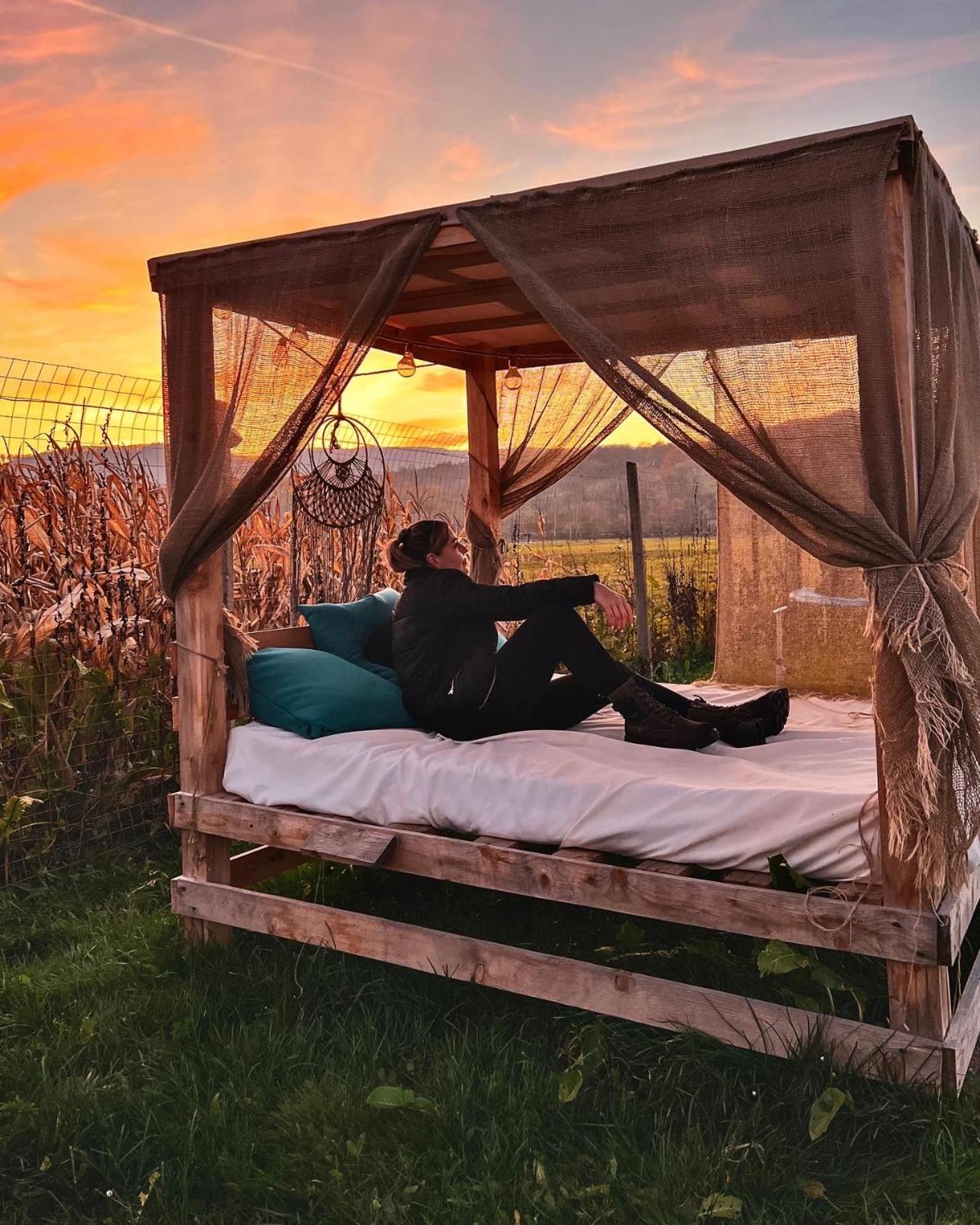 Glamping Iurte Mongole Spiritul Zimbrului