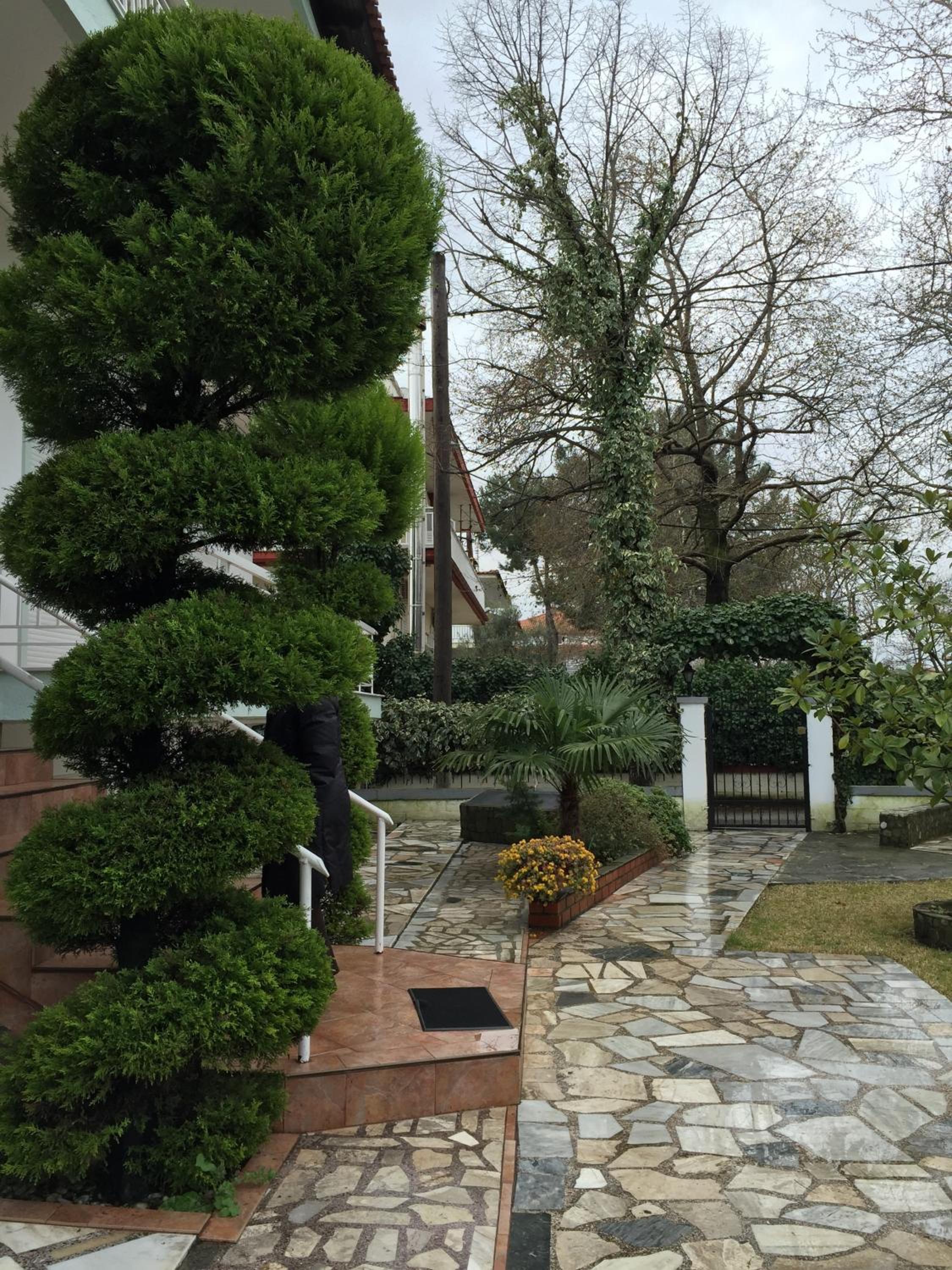 Photo 15