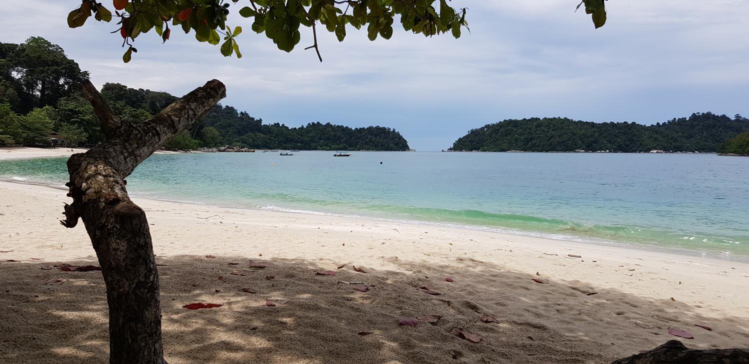 Teratak Nipah Homestay Teluk Nipah Pangkor