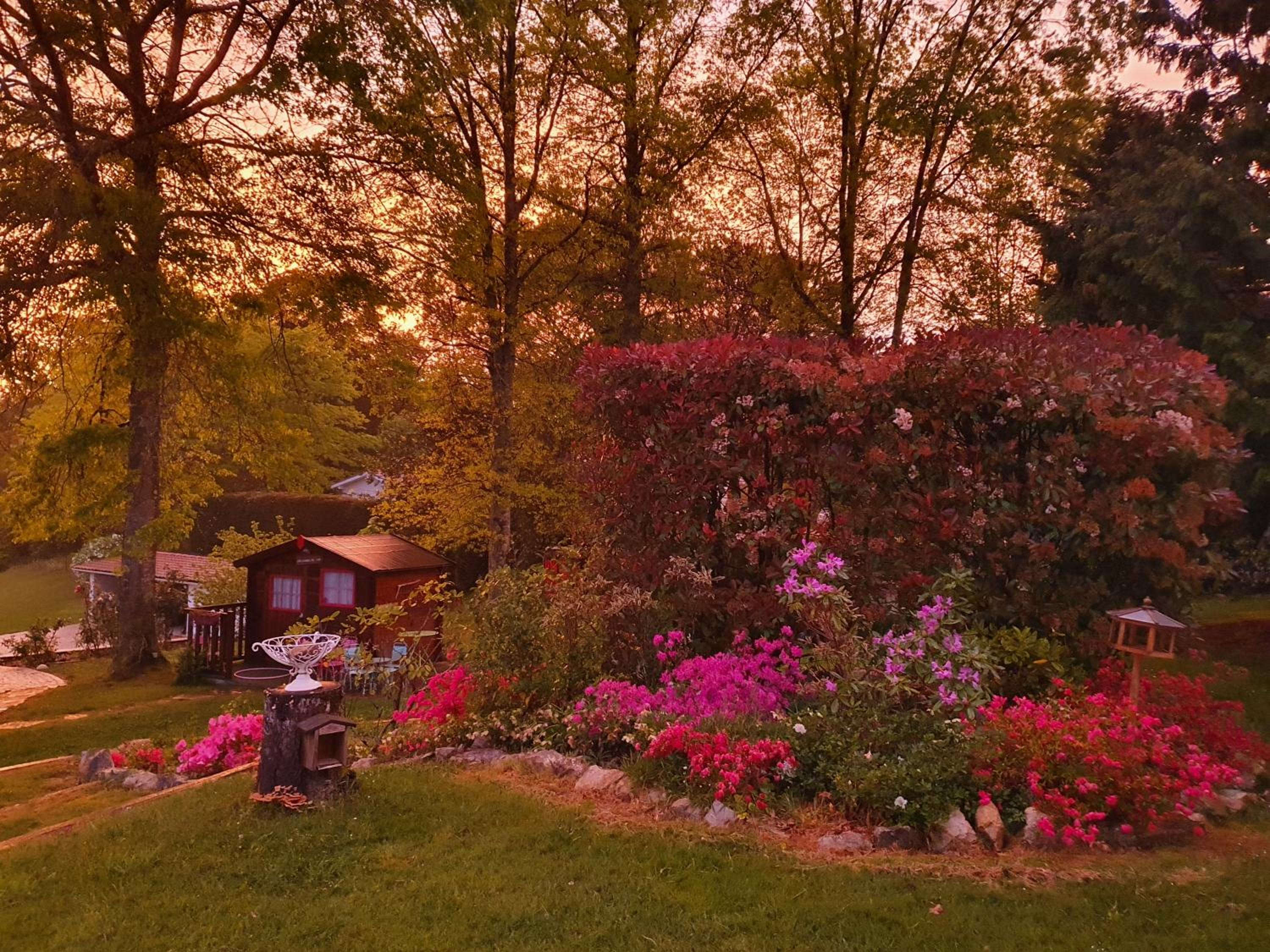 Domaine de Millox