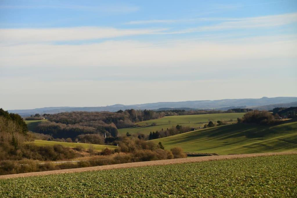 Gemütliches Landhaus in der Eifel, Freilinger See