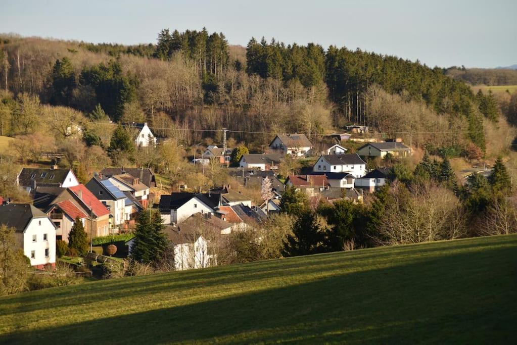 Gemütliches Landhaus in der Eifel, Freilinger See