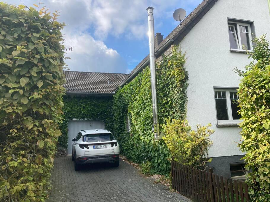 Gemütliches Landhaus in der Eifel, Freilinger See