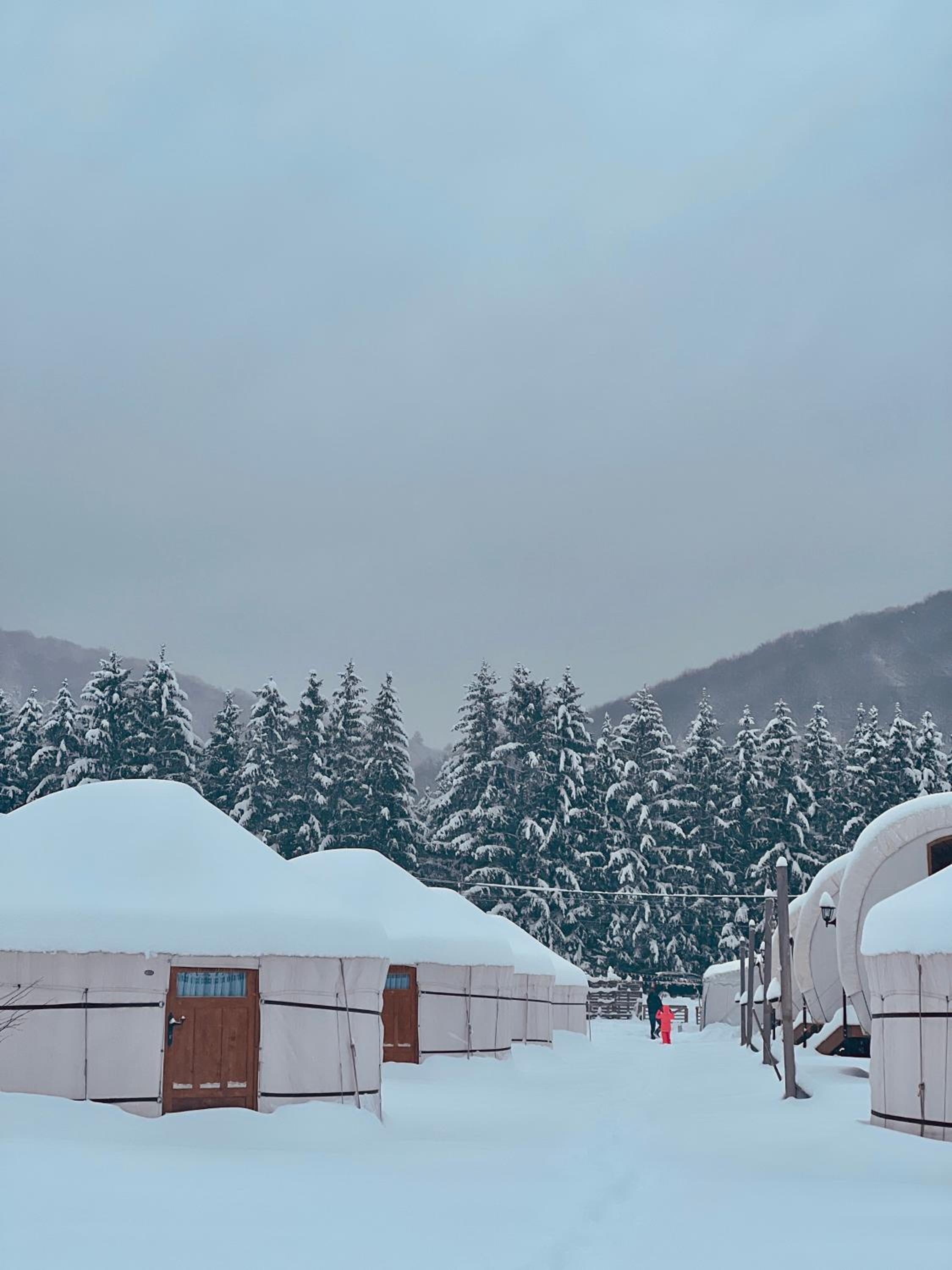 Glamping Iurte Mongole Spiritul Zimbrului