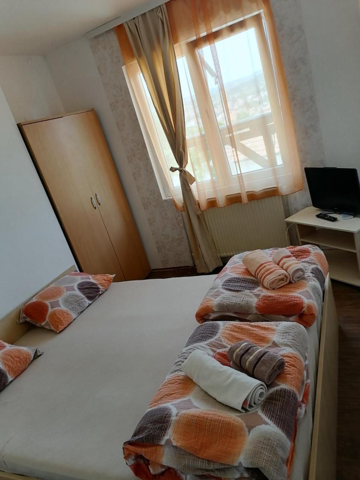 Apartmani Milosavljevic view 2