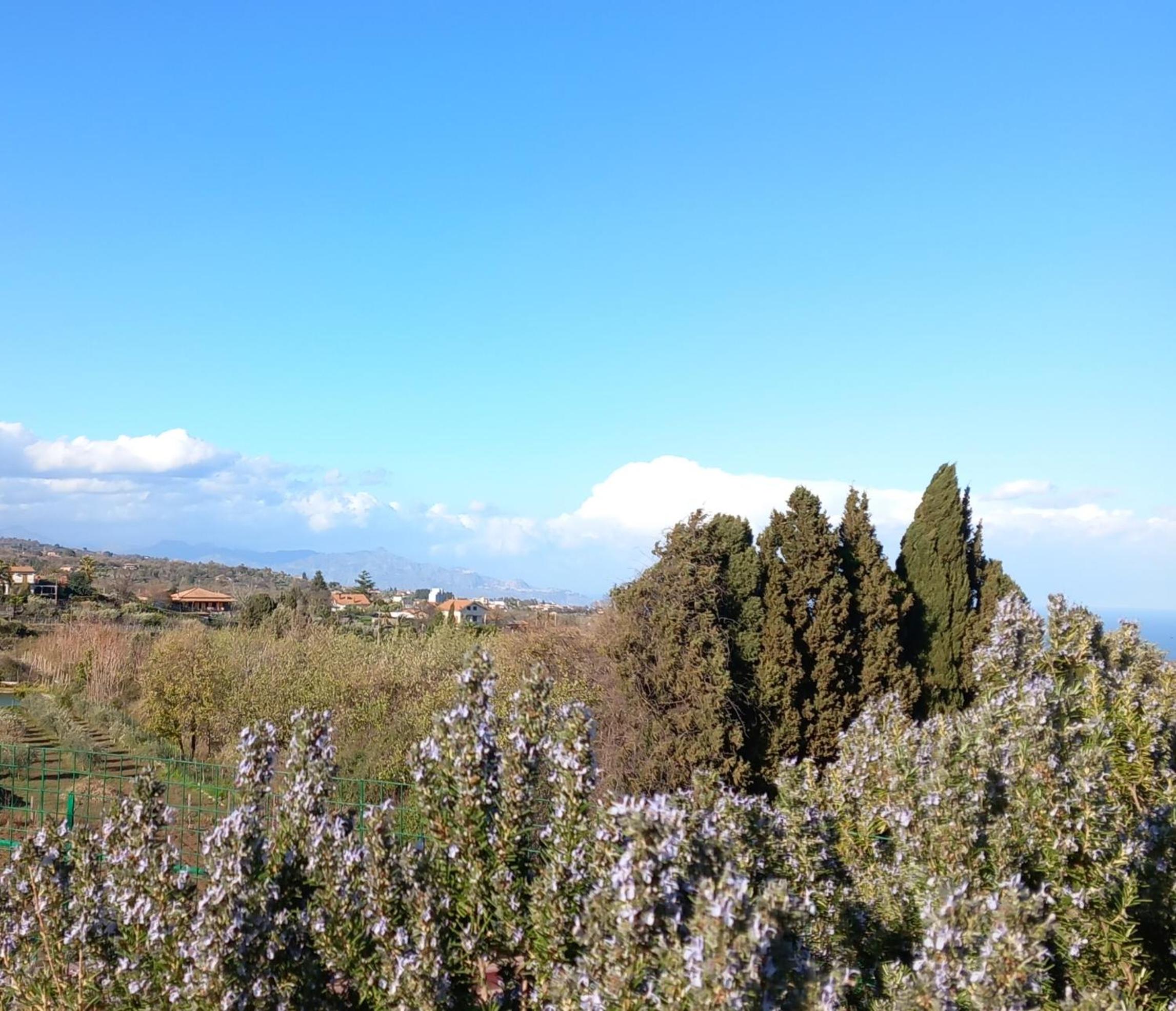 Etna Green House view 5