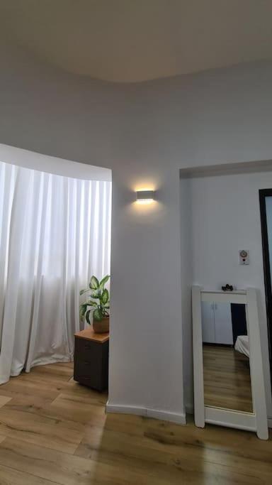 Bright Studio in Shapira view 2