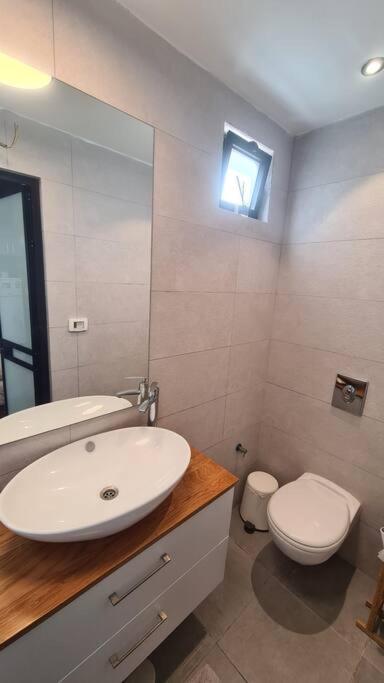 Bright Studio in Shapira view 3