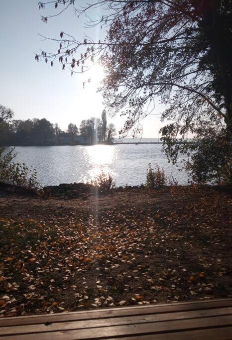 Lieblingsplatz Apartement am Steinhuder Meer