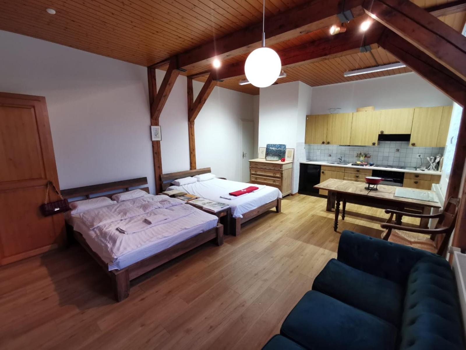 Simple Studio 36m2 in the Center of Burgdorf private Parking SMALL BATHROOM