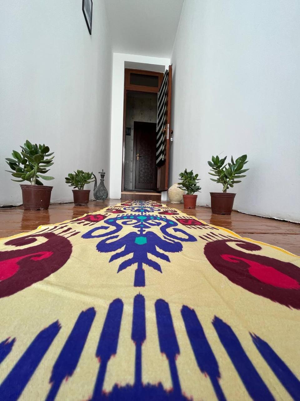 Old Safari Golden Location Guest house with Laundry Service
