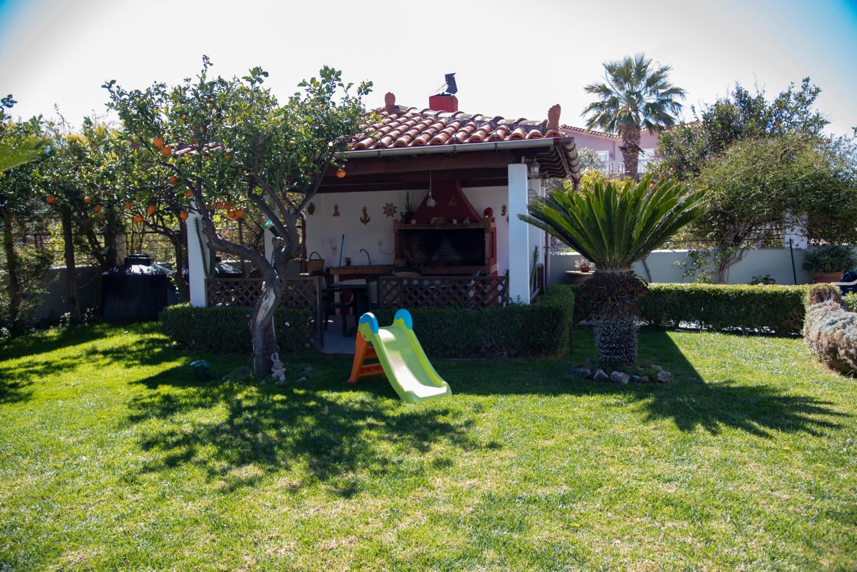 Photo 46