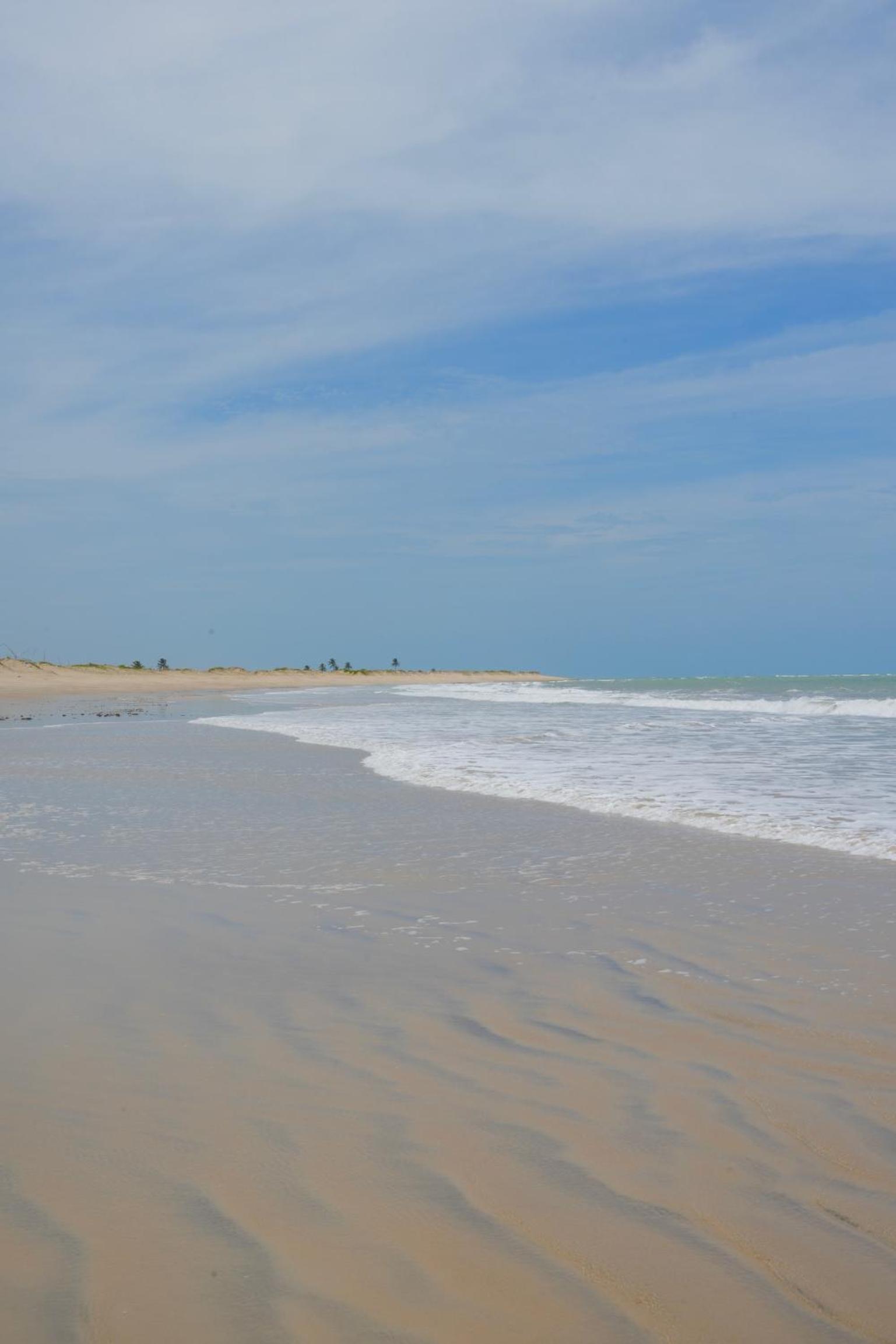 MONKEY BEACH HOUSE BRAZIL