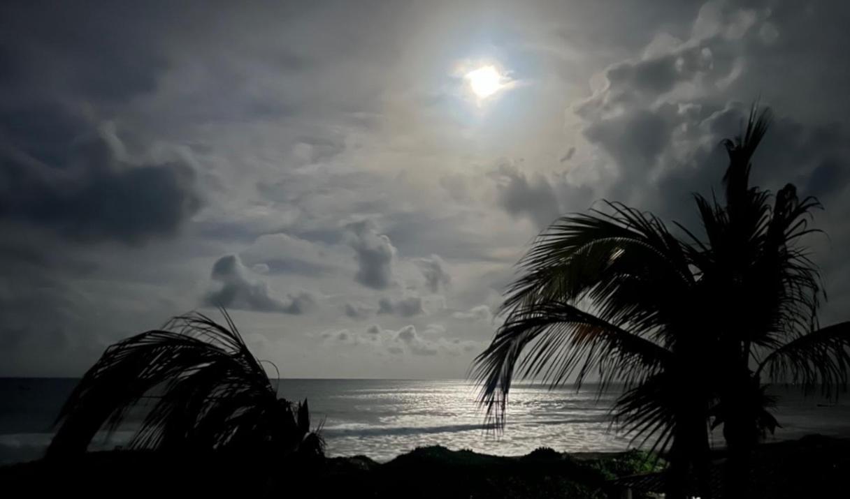 MONKEY BEACH HOUSE BRAZIL