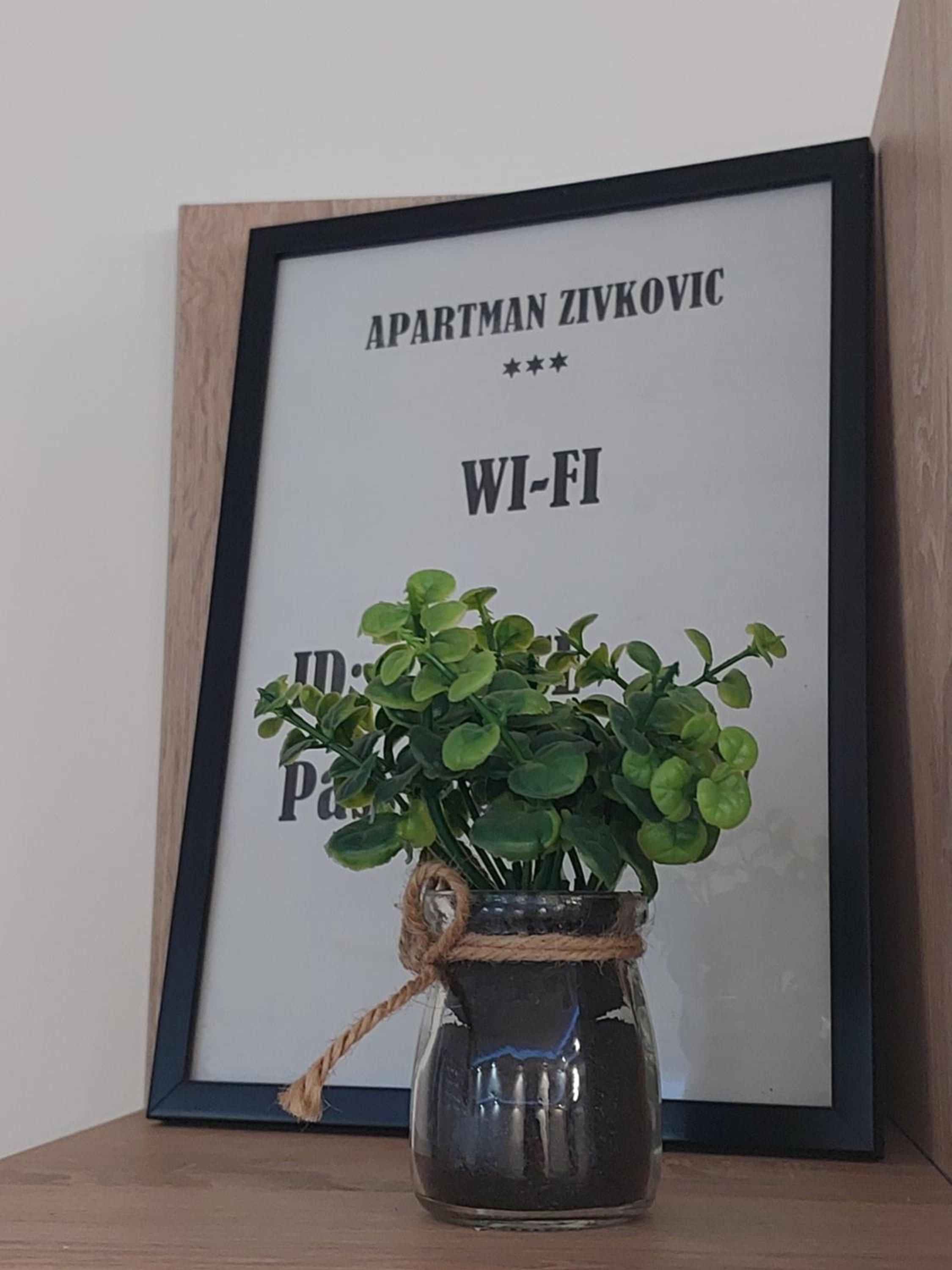 Apartman Živković