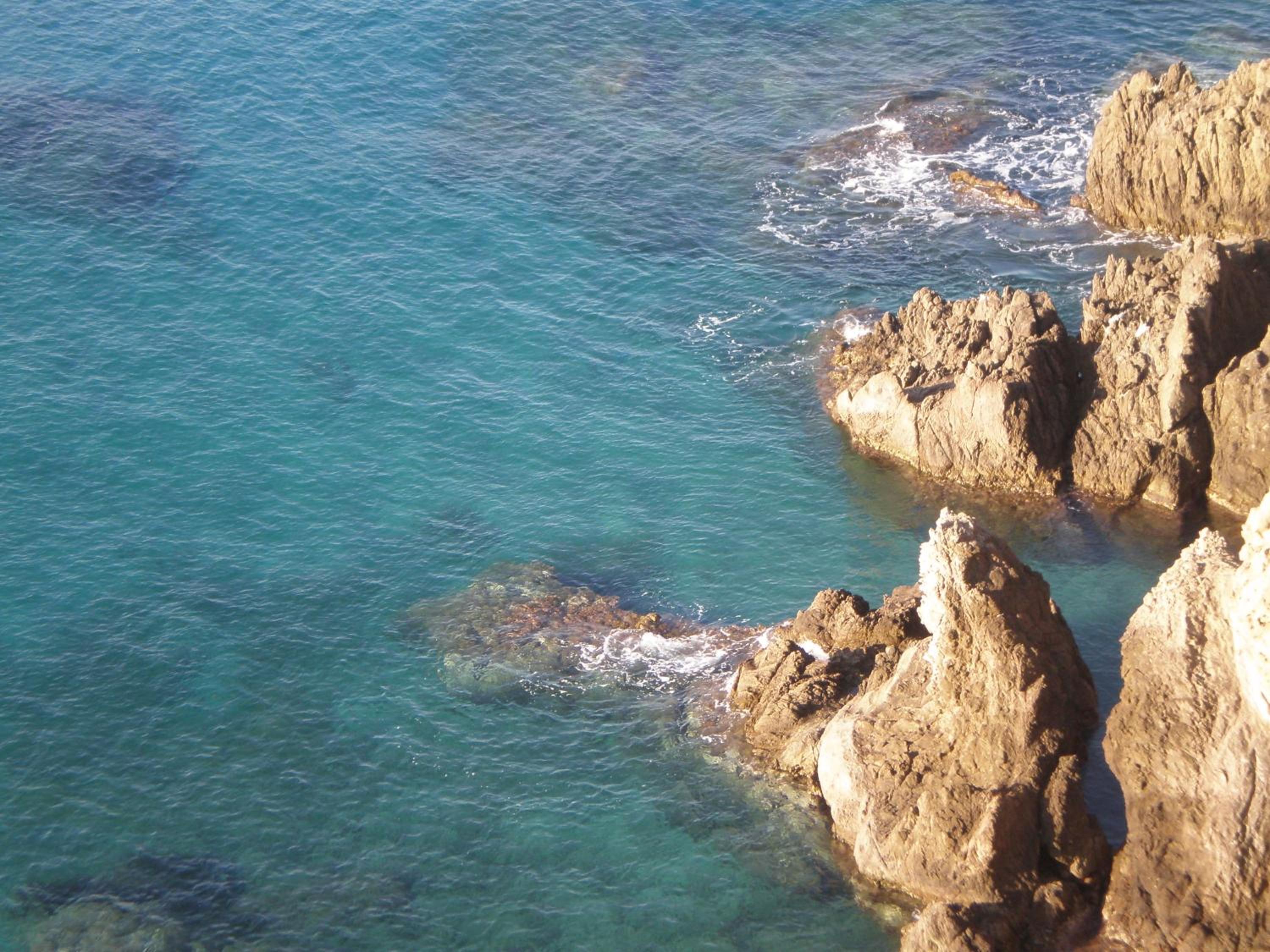 Apartamento Las Gaviotas