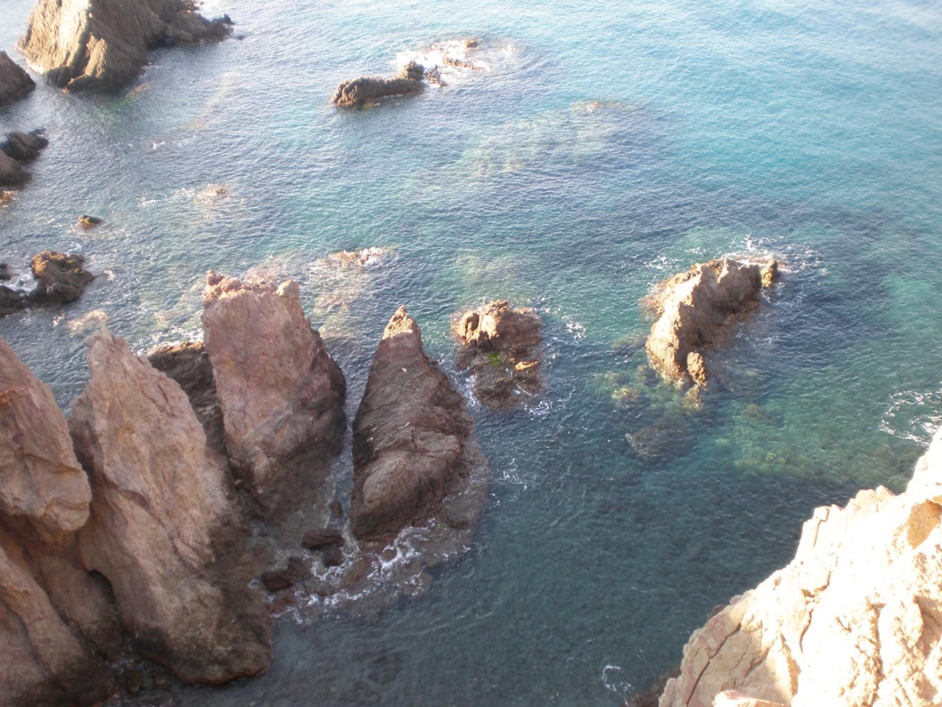 Apartamento Las Gaviotas