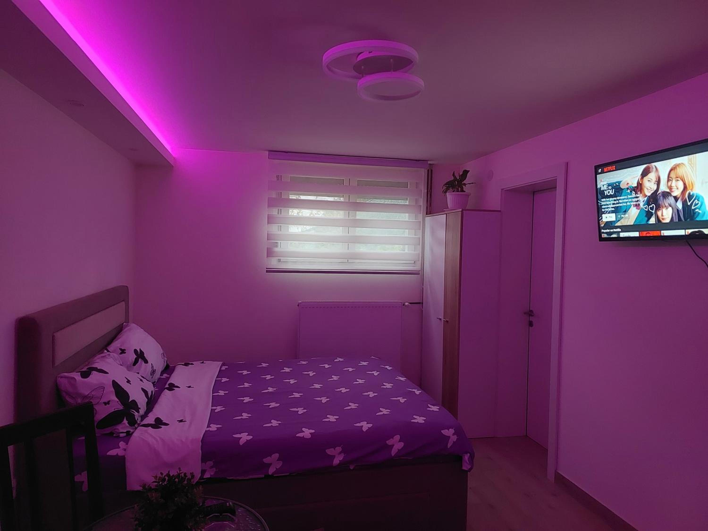 Apartman Živković