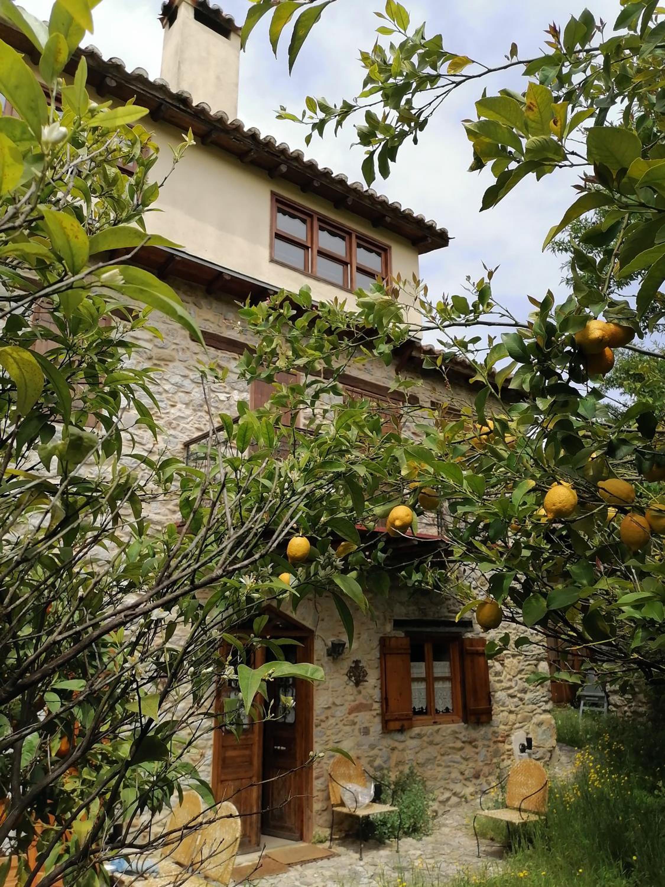Photo 6