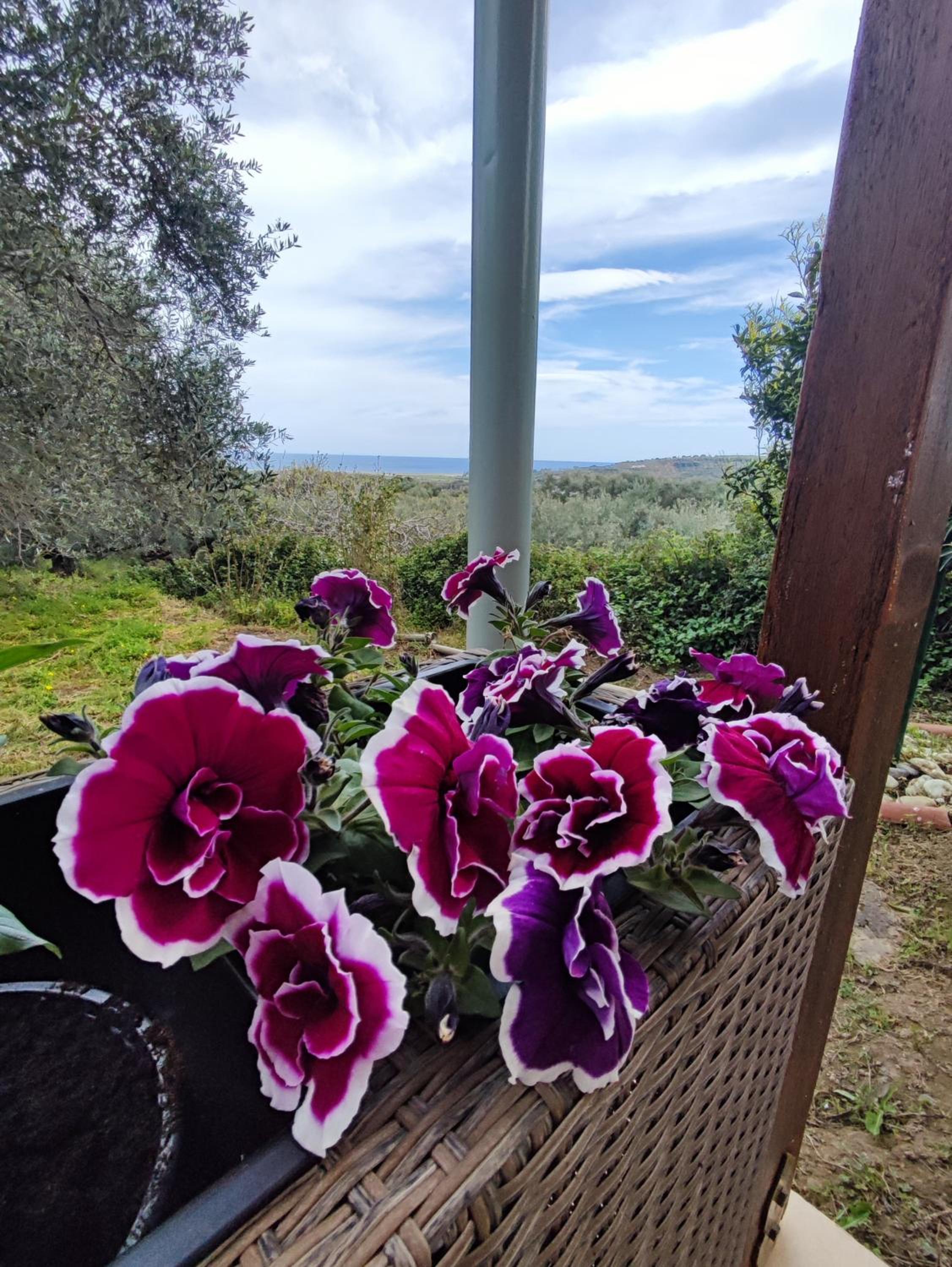 Anatolika Stamatis Paradise