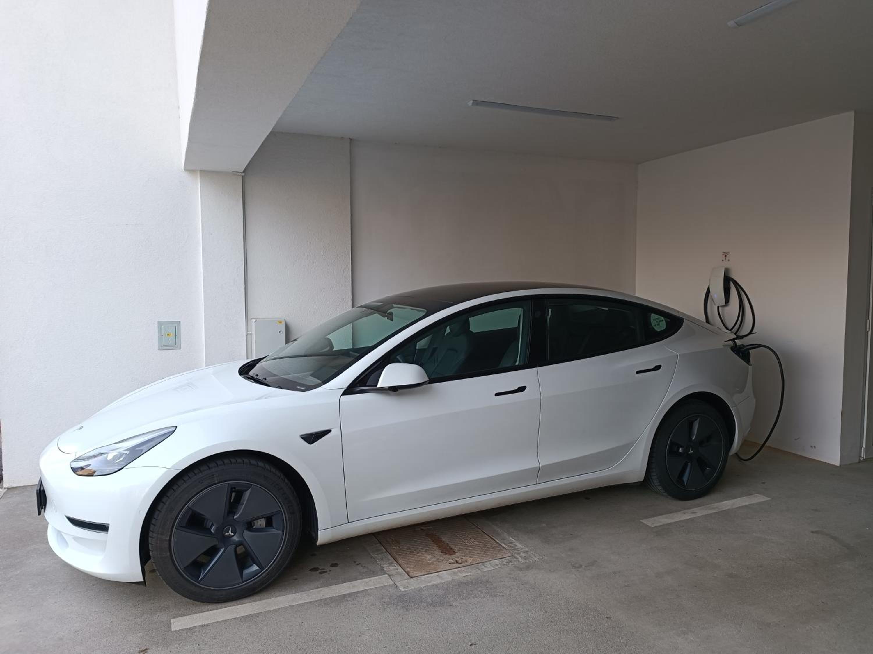 Tesla Point photo 3