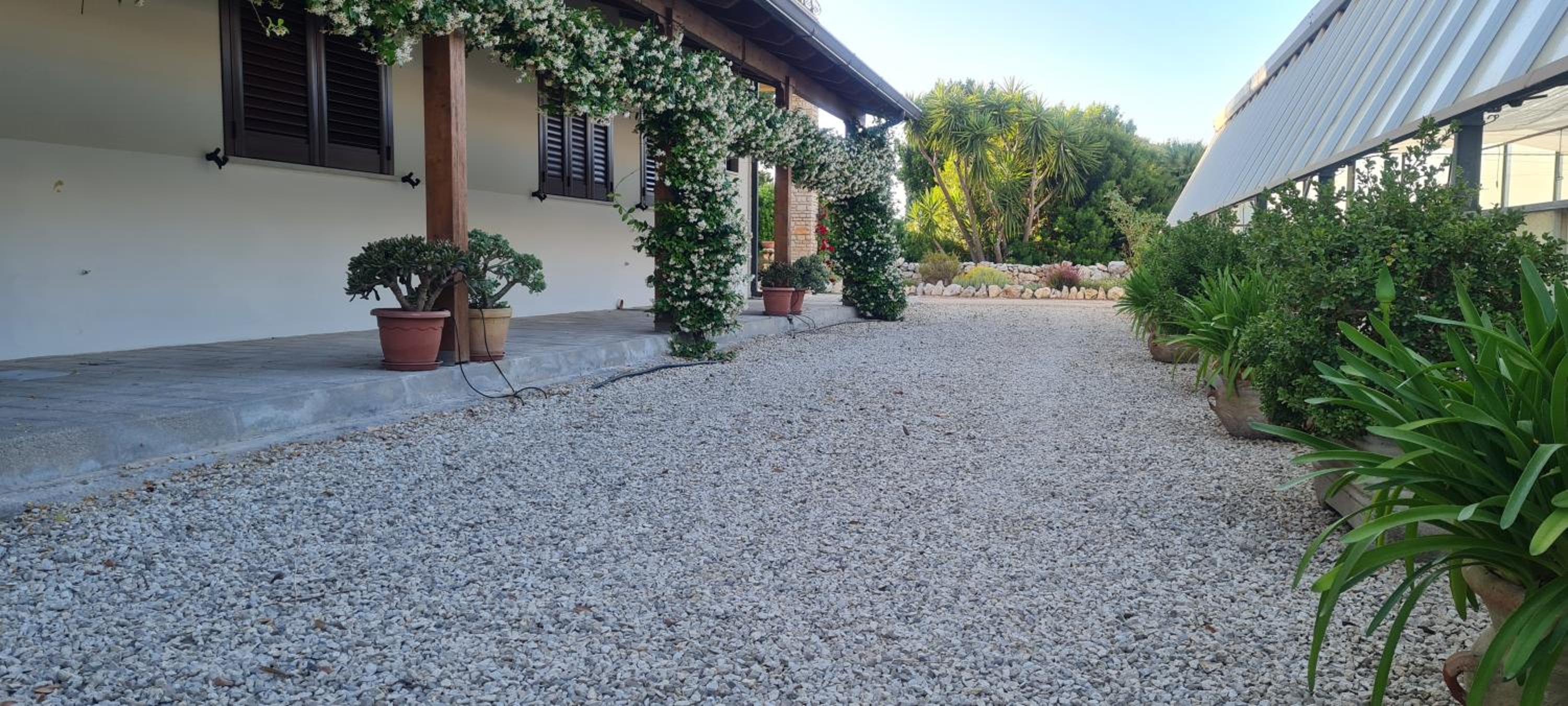 Gli Allori - Fuga dalla città