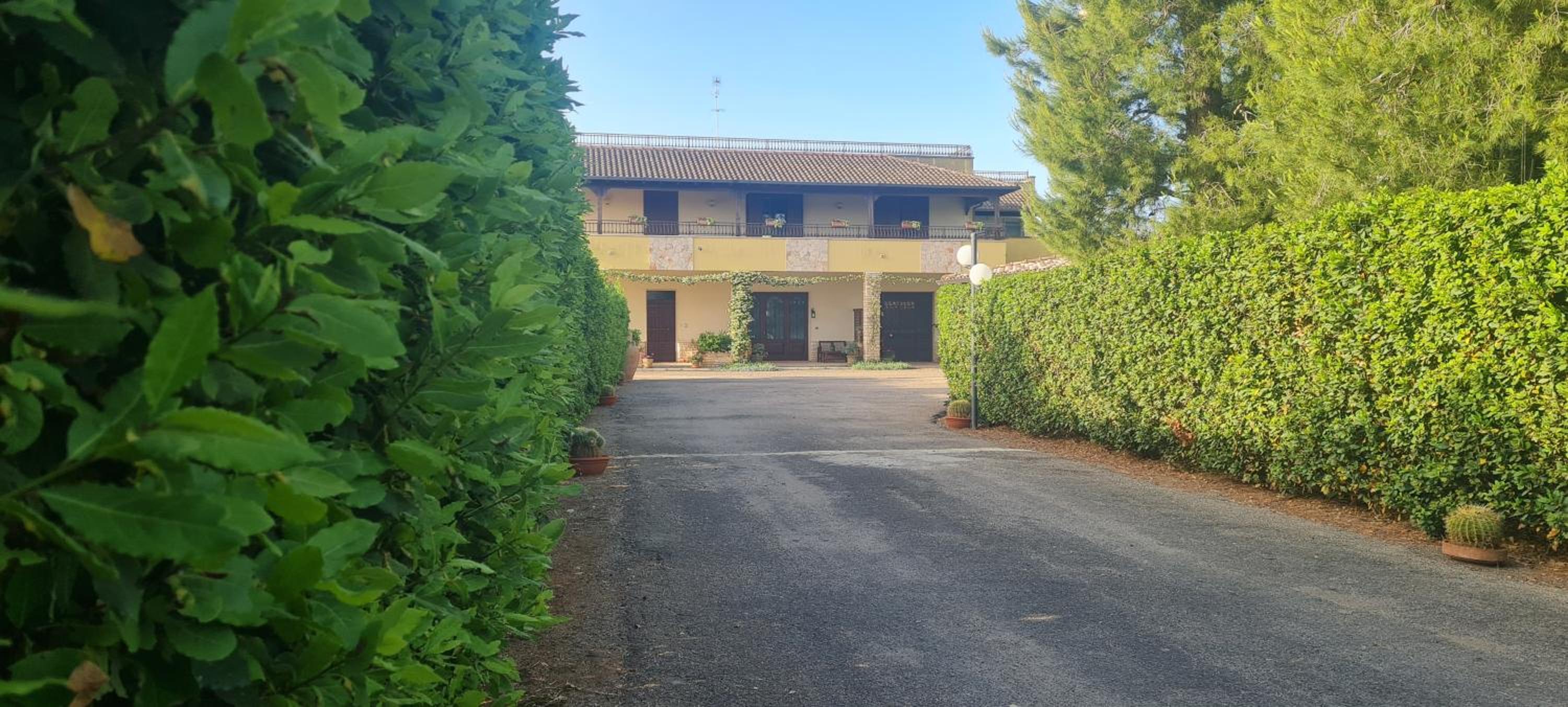 Gli Allori - Fuga dalla città