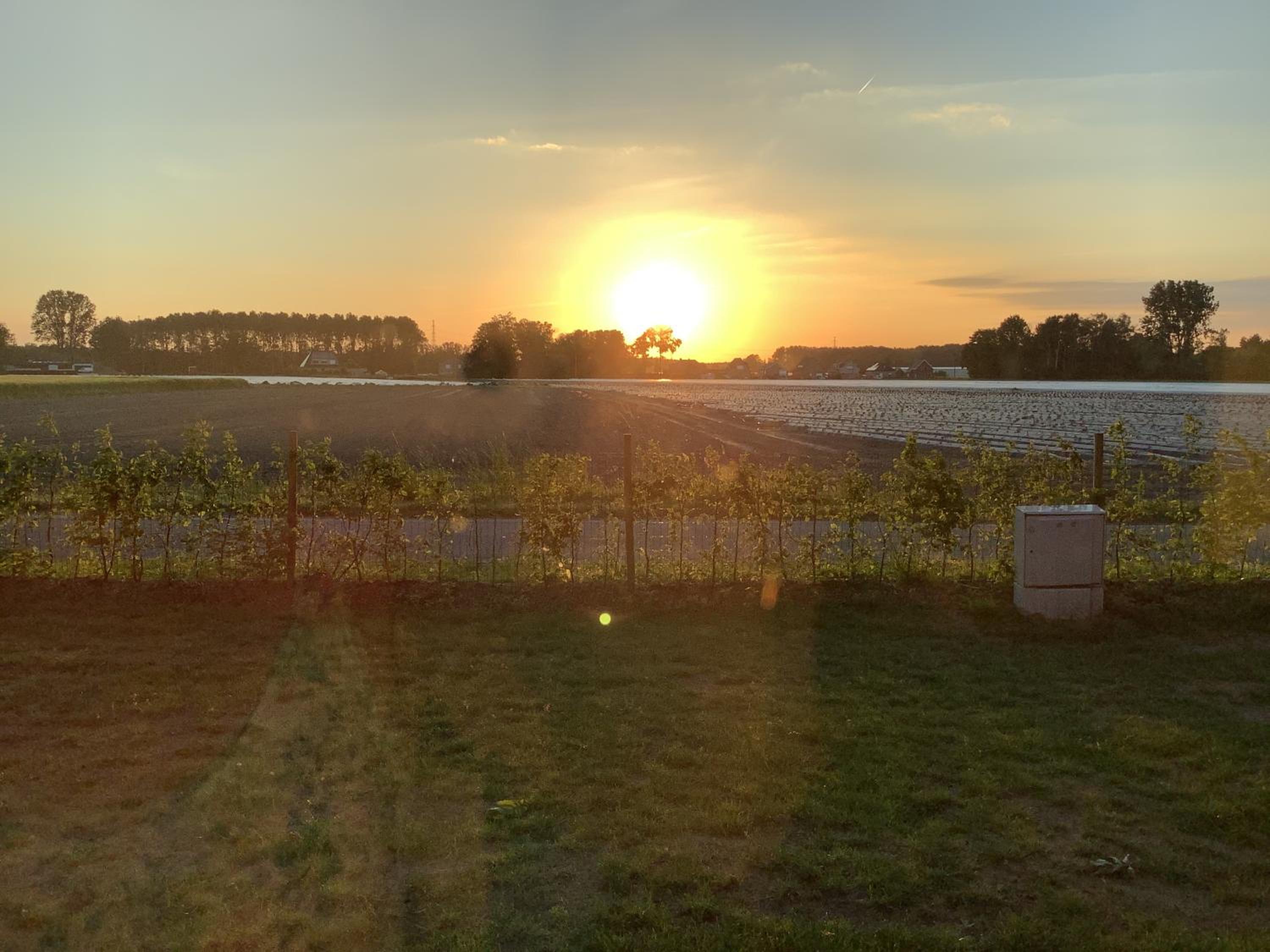 Vakantiewoningeikenhof