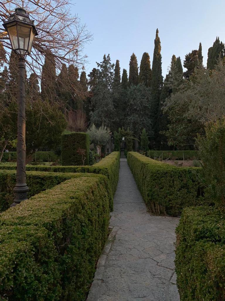 Photo 46