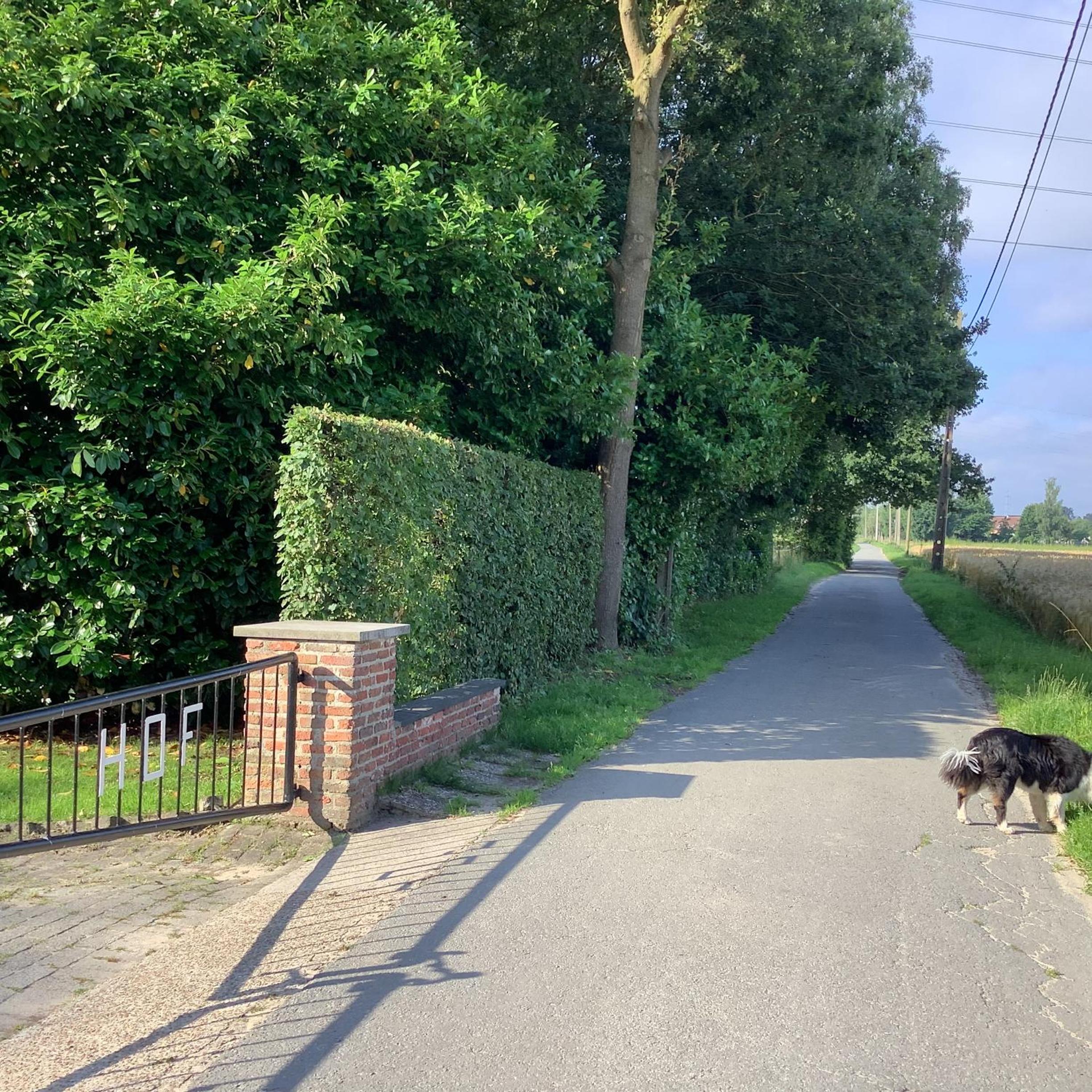 Vakantiewoningeikenhof