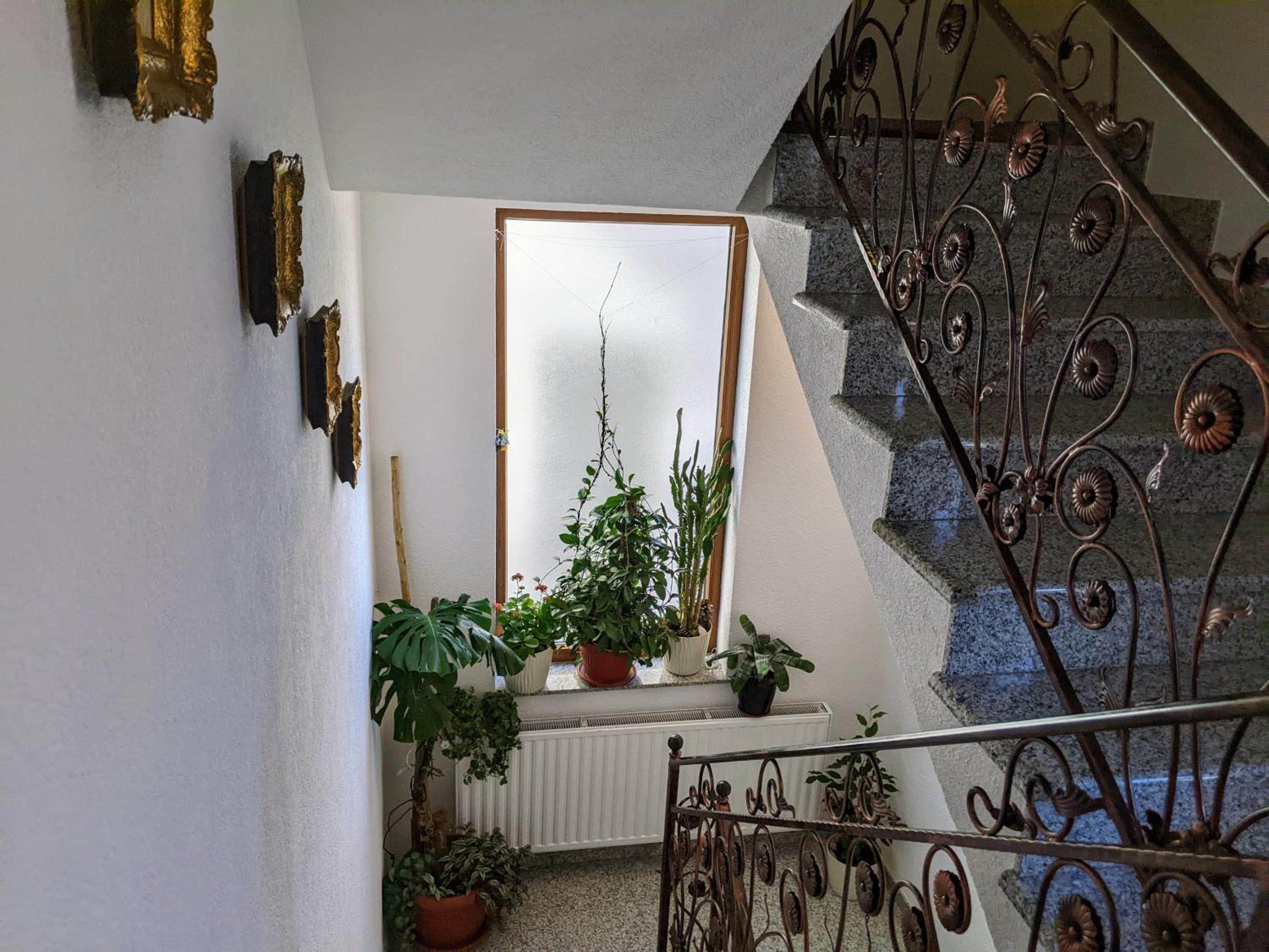 Apartmani Hrastik 2