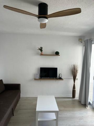 Apartamentos Cana Sofía