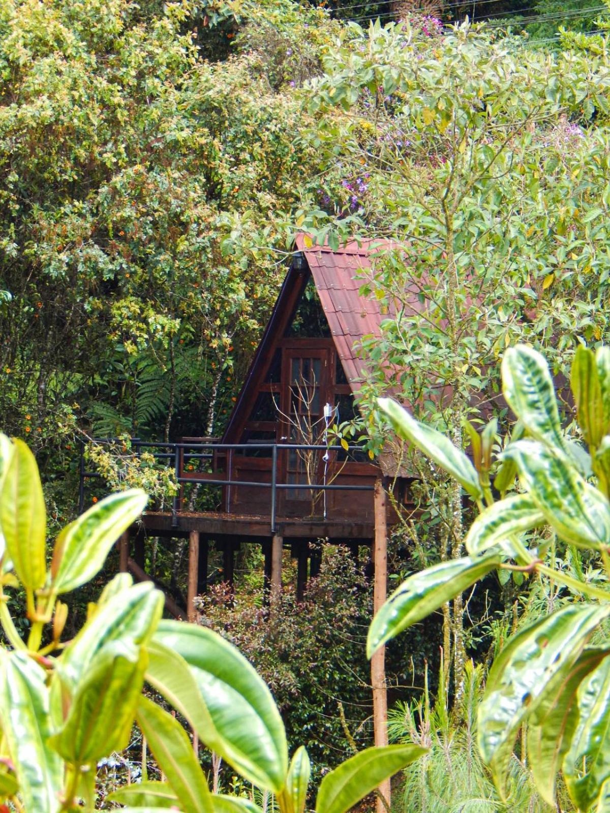 Chalets en Santa Elena en medio del Bosque