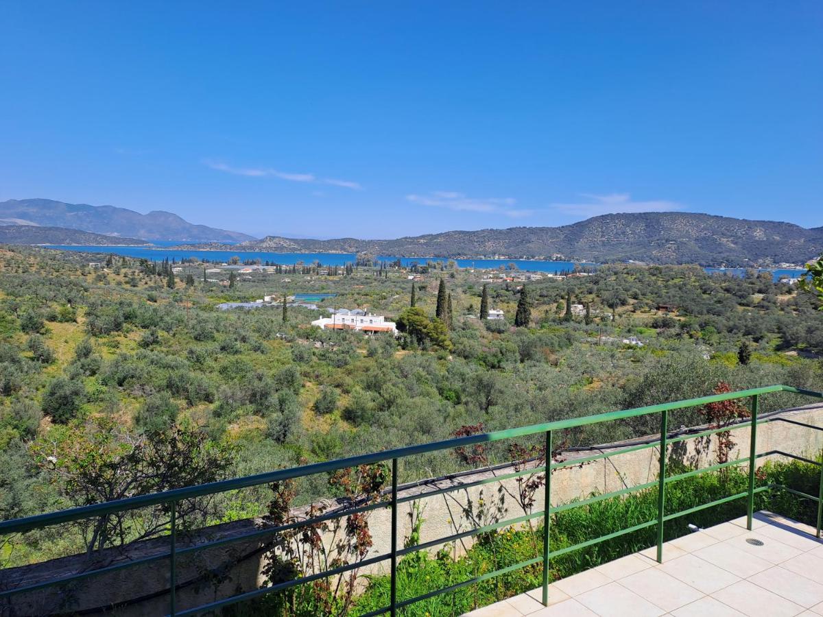 GEORGE'S VILLA photo 5